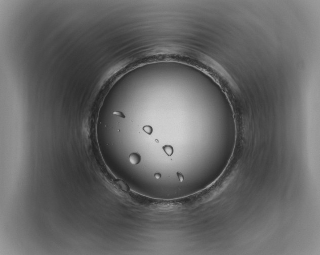 X0000111610826200907171222
