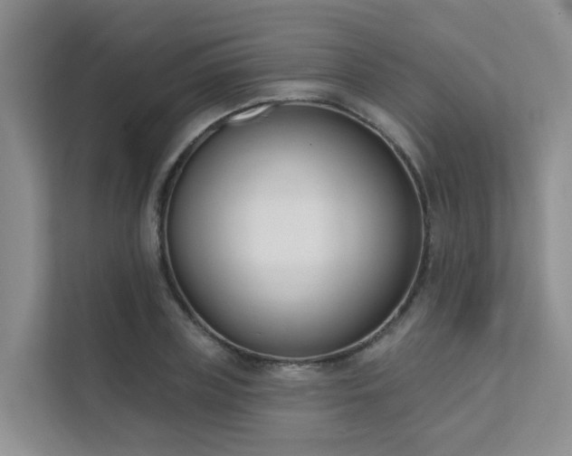 X0000111610835200907171222