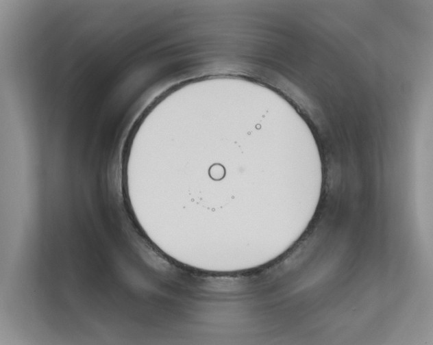 X0000111610836200907171222