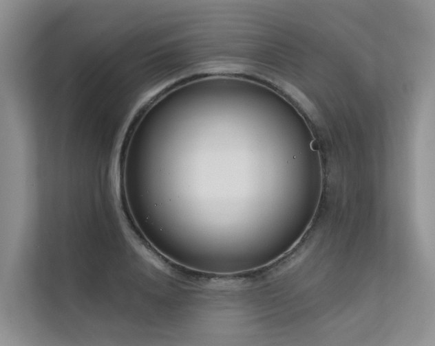 X0000111610840200907171222