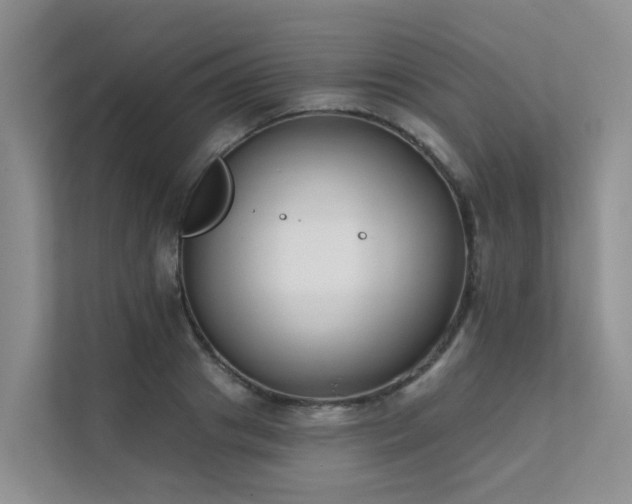 X0000111610841200907171222