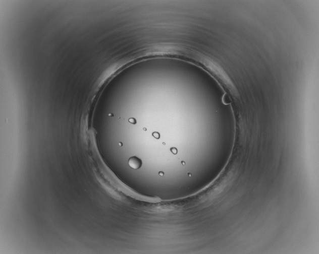 X0000111610842200907171222