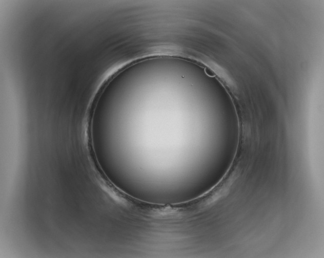 X0000111610846200907171222