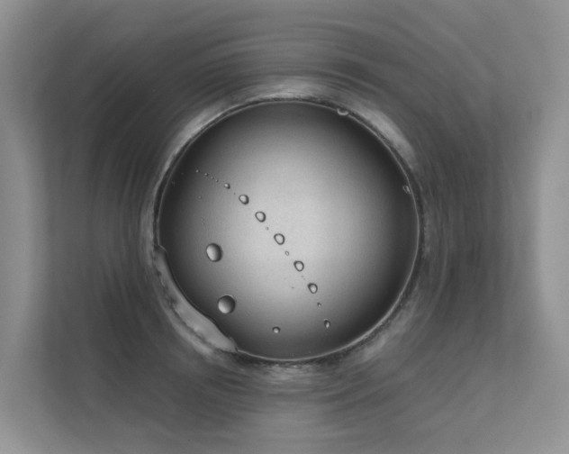 X0000111610850200907171222