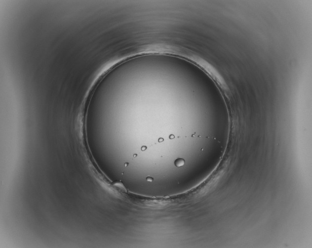 X0000111610854200907171222