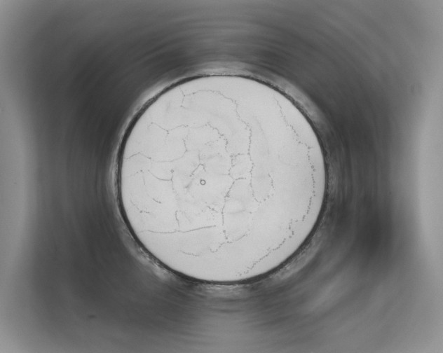 X0000111610856200907171222