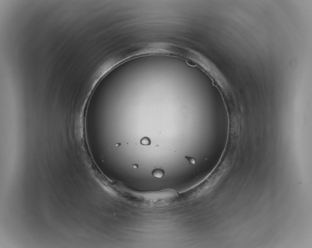 X0000111610858200907171222
