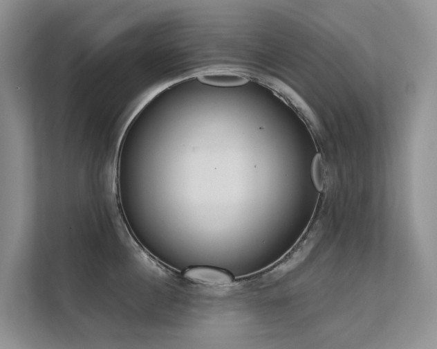 X0000111610860200907171222