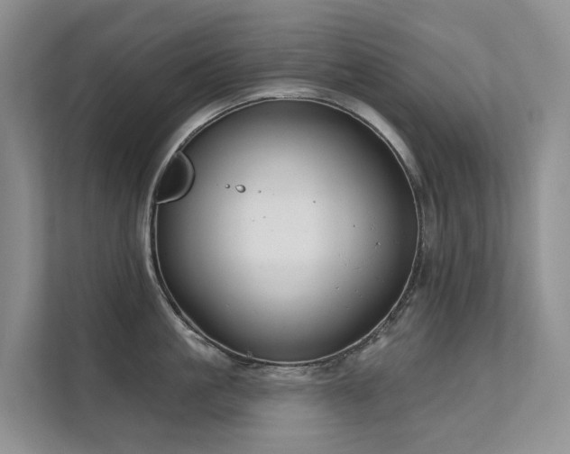X0000111610861200907171222