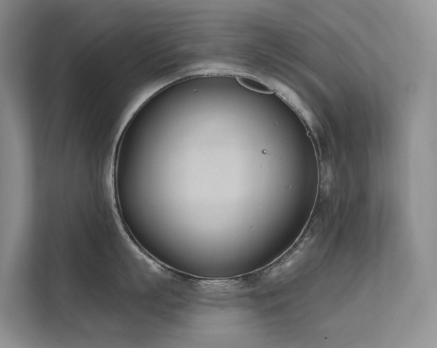 X0000111610863200907171222