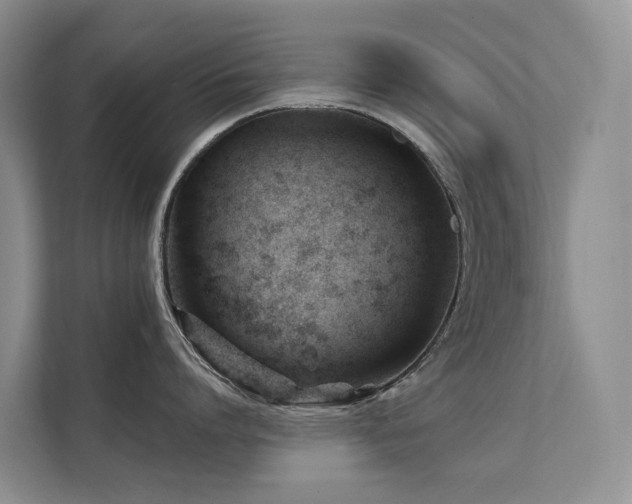 X0000111610864200907171222