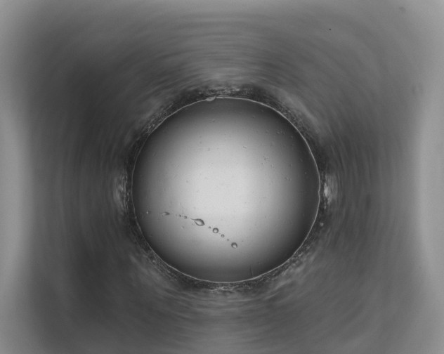 X0000111610867200907171222