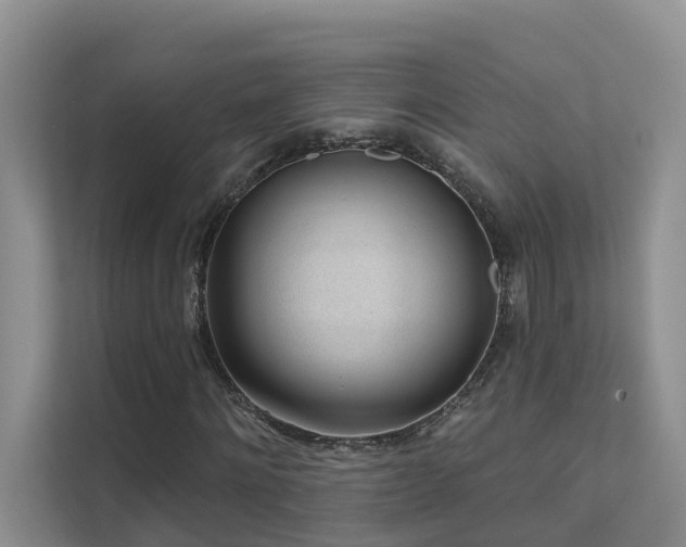 X0000111610868200907171222