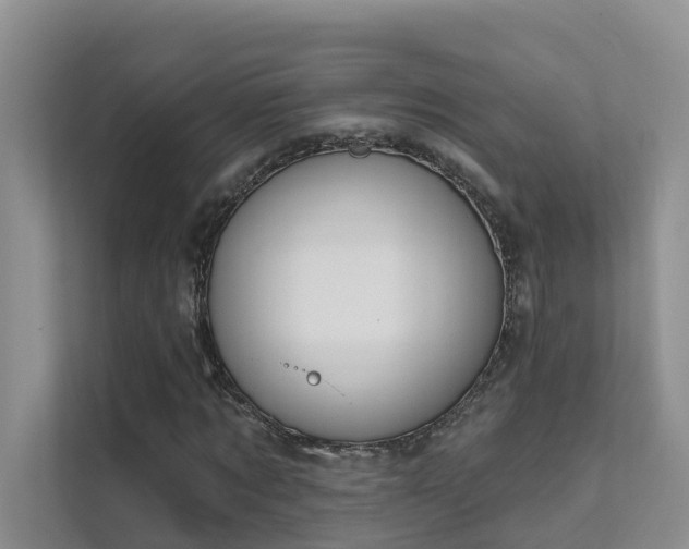 X0000111610869200907171222