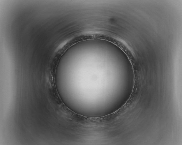 X0000111610871200907171222