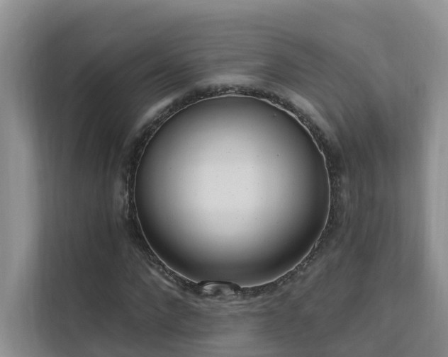 X0000111610872200907171222