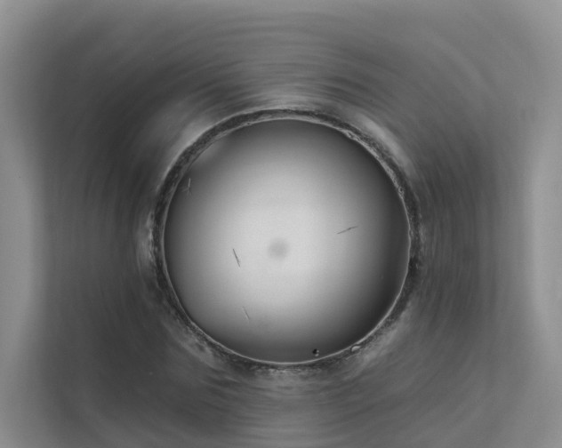 X0000111610875200907171222