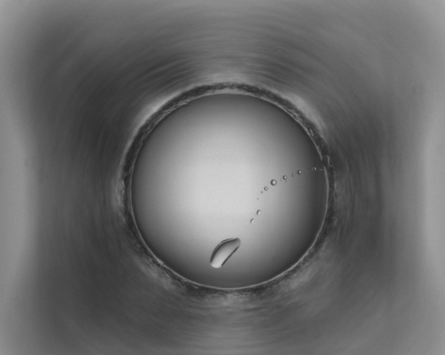 X0000111610879200907171222