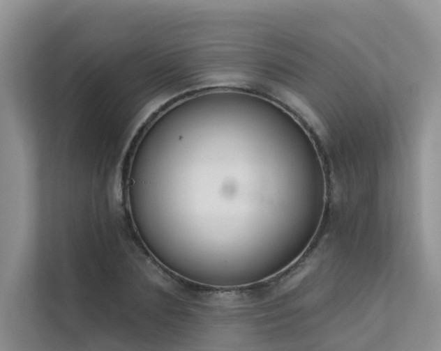 X0000111610883200907171222