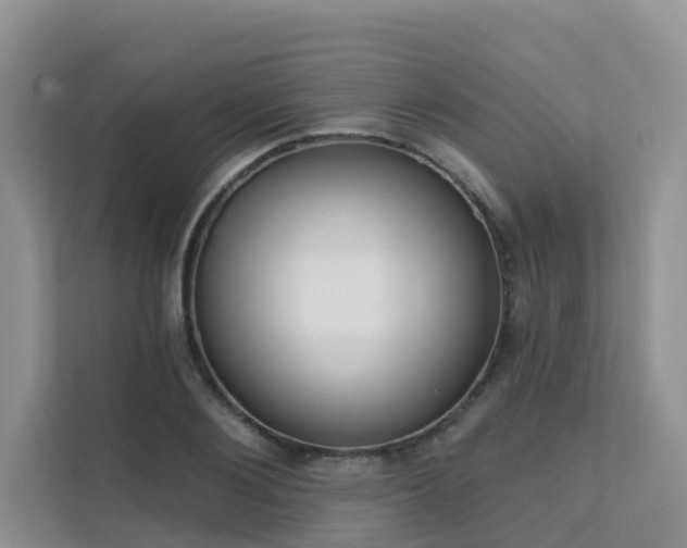 X0000111610884200907171222