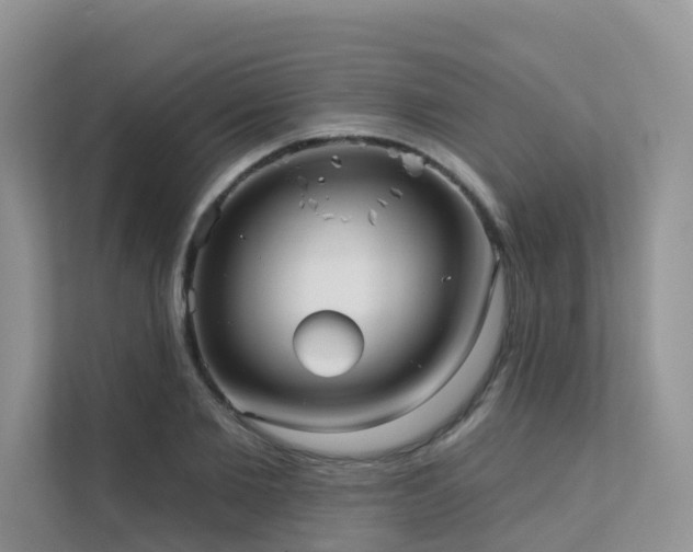 X0000111610885200907171222