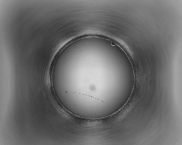 X0000111610887200907171222