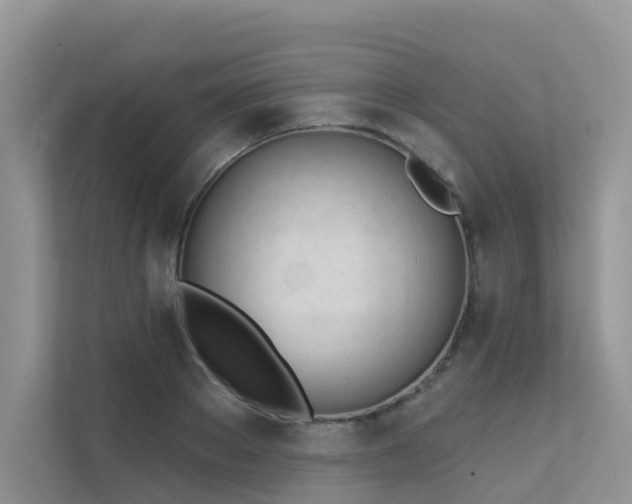 X0000111610889200907171222