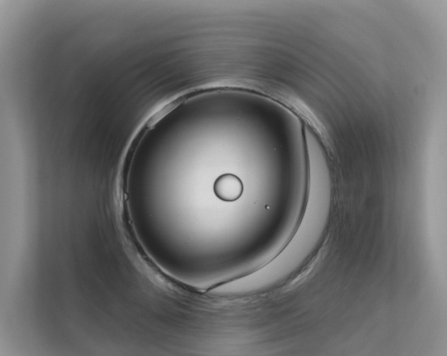 X0000111610892200907171222