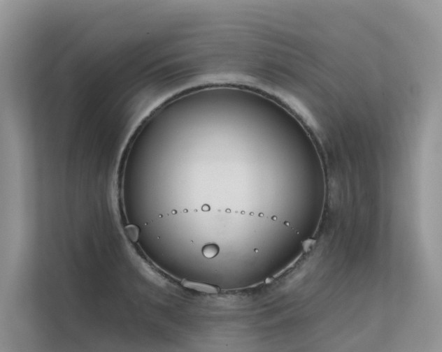 X0000111610895200907171221