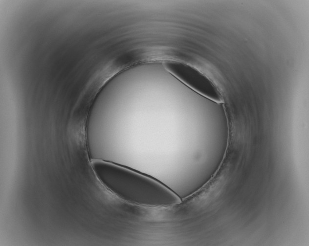 X0000111610897200907171221