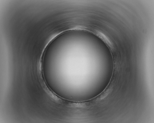 X0000111610900200907171221