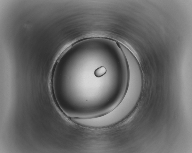 X0000111610901200907171221