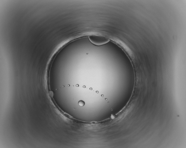 X0000111610902200907171221