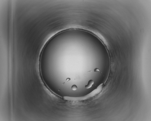 X0000111610903200907171221