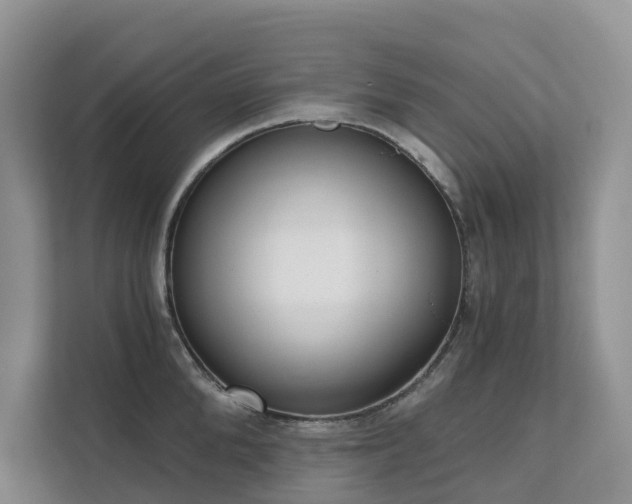 X0000111610904200907171221