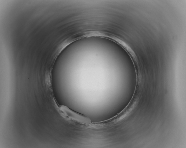 X0000111610905200907171221