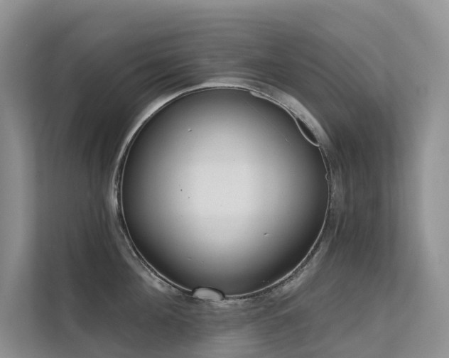 X0000111610908200907171221