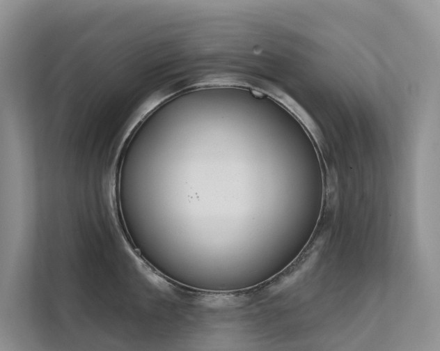 X0000111610909200907171221