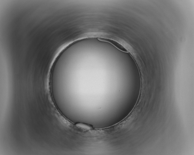 X0000111610912200907171221