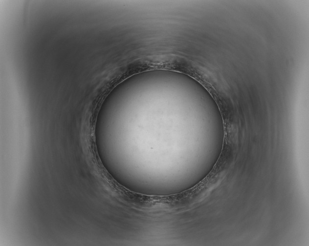 X0000111610913200907171221