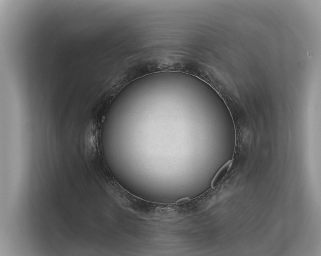 X0000111610914200907171221