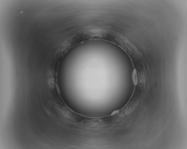 X0000111610916200907171221