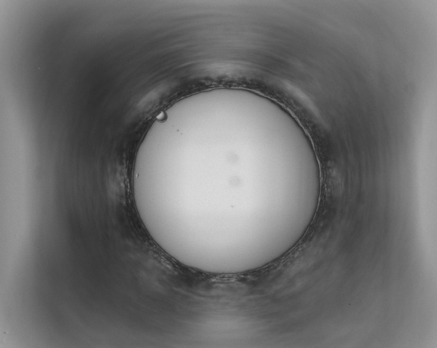 X0000111610918200907171221