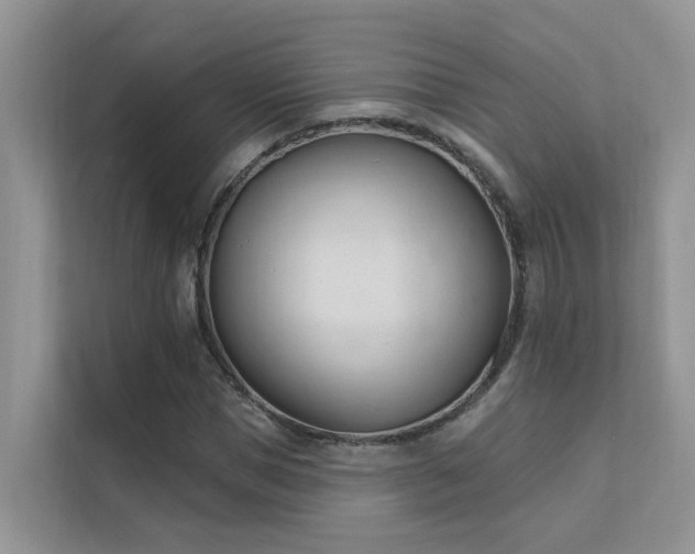 X0000111610921200907171221