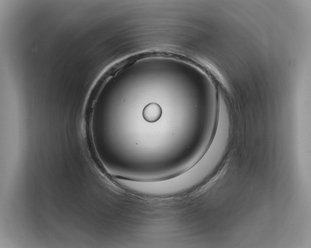 X0000111610924200907171221