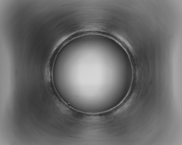 X0000111610925200907171221