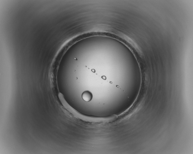 X0000111610926200907171221