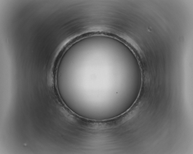 X0000111610927200907171221