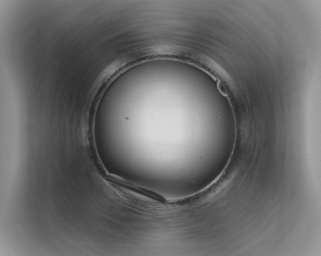 X0000111610930200907171221