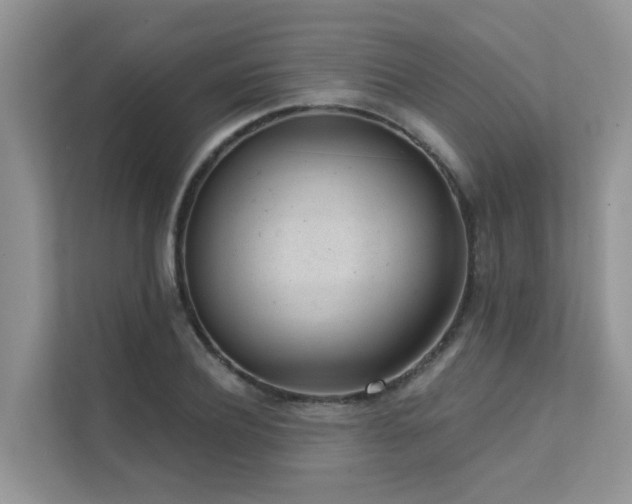X0000111610932200907171221